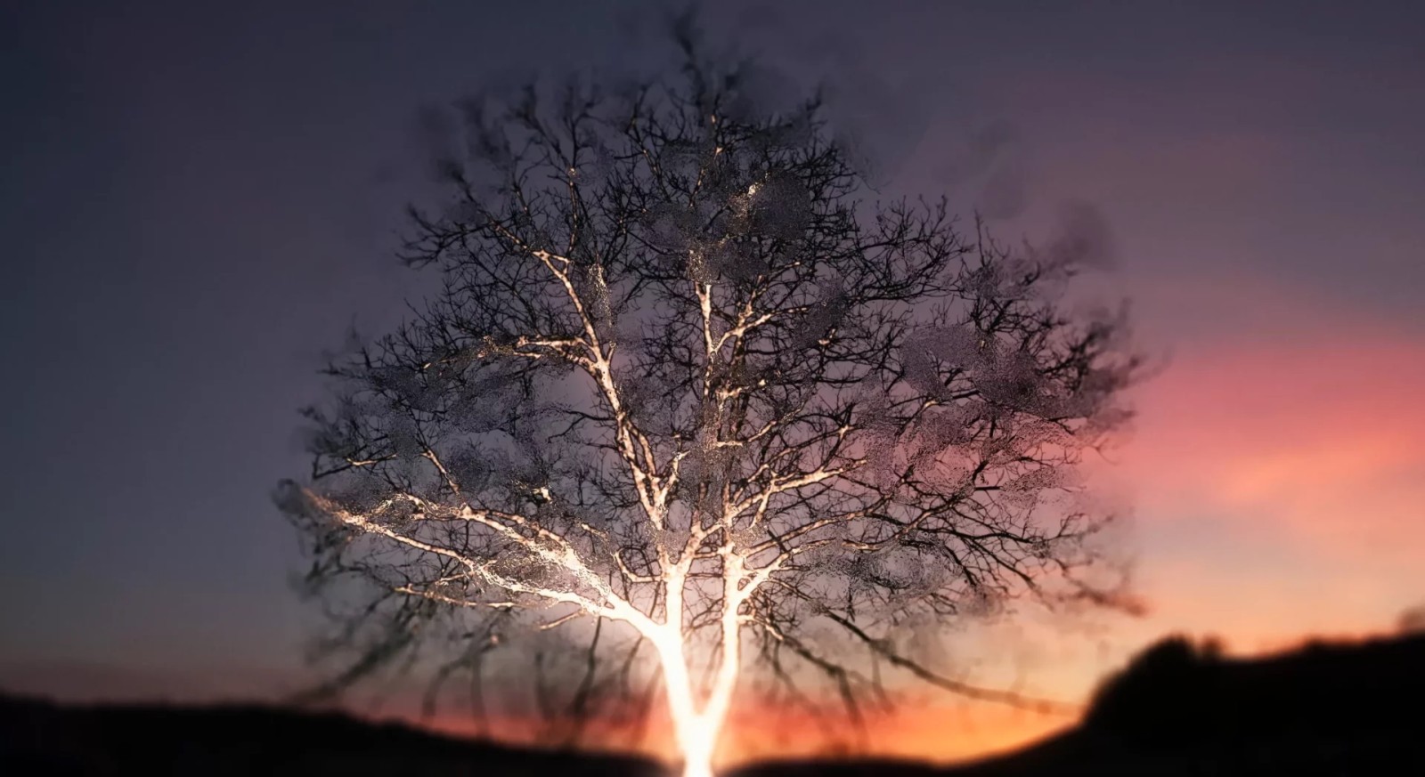 School Program – Wider than the Sky